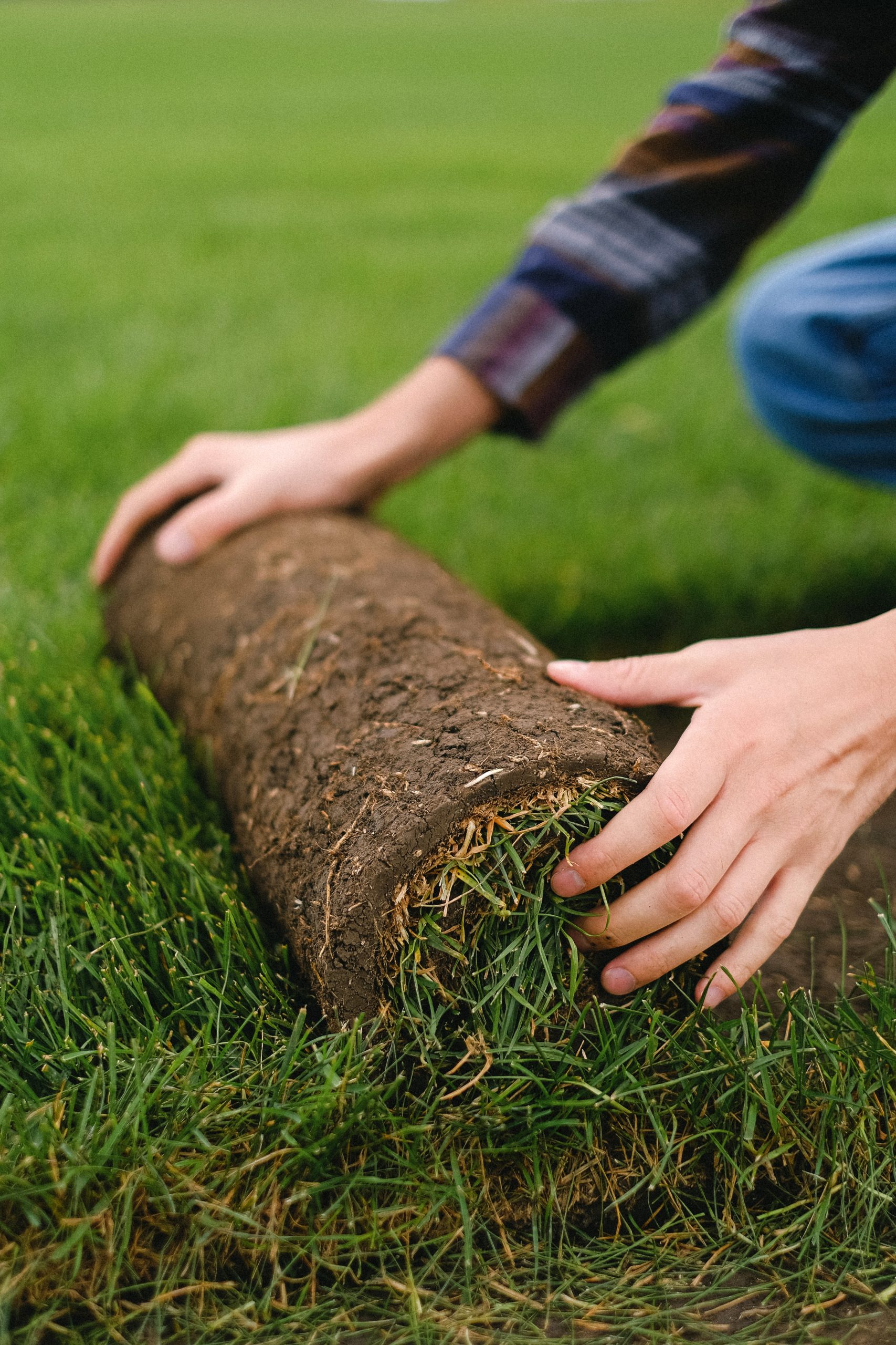 Lawn Installation