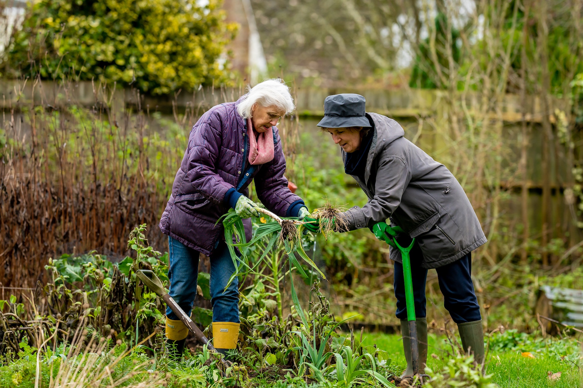 Why are gardens good for mental health