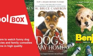 funny dog movies