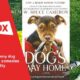 funny dog movies