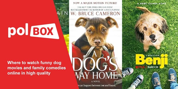 Best funny dog movies and heartwarming animal comedies available