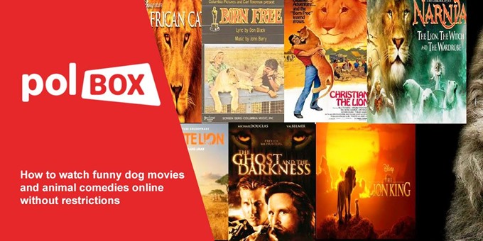 PolBox.TV library featuring popular funny dog movies
